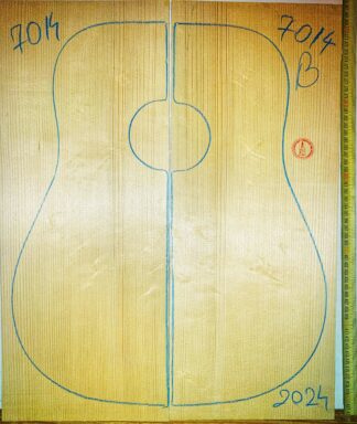 Guitar western No.7014 Top