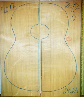 Guitar classical No.7017 Top