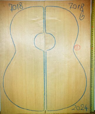 Guitar classical No.7018 Top