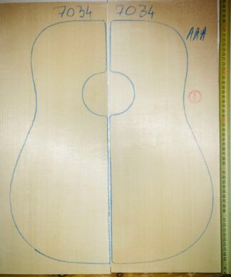 Guitar western No.7034 Top