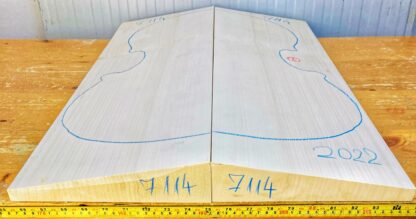 cut from Poplar