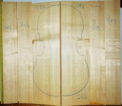 Cello No.7114 Back and Sides