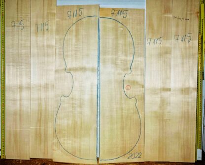 Cello No.7115 Back and Sides