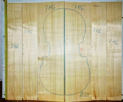 Cello No.7116 Back and Sides