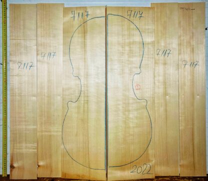Cello No.7117 Back and Sides