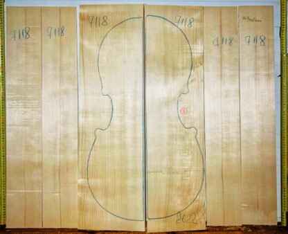 Cello No.7118 Back and Sides