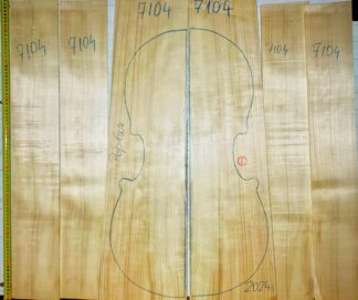 Cello Poplar Back and Sides