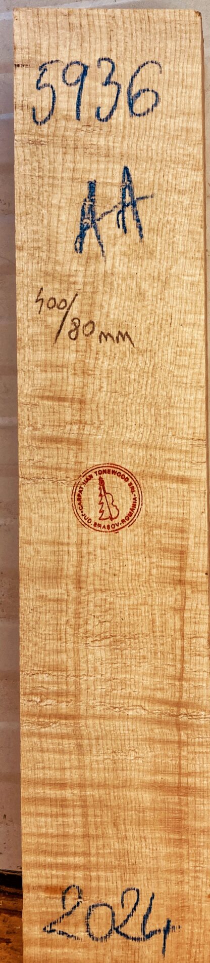 Violin No.5936 Neck