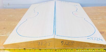 cello spruce top