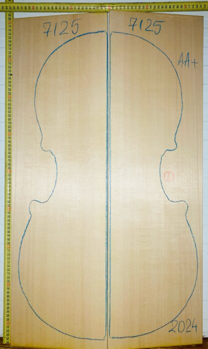 Cello No.7125 Top