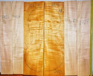 Cello No.7127 Back and Sides