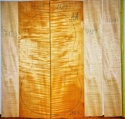 Cello No.7129 Back and Sides