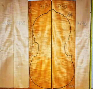 Cello No.7130 Back and Sides