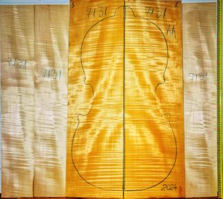 Cello No.7131 Back and Sides