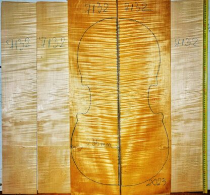 Cello No.7132 Back and Sides