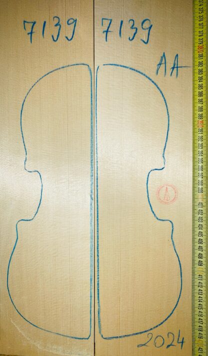 Violin No.7139 Top
