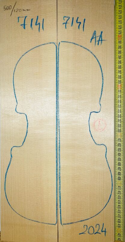 Violin No.7141 Top
