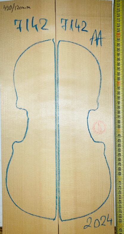 Violin No.7142 Top