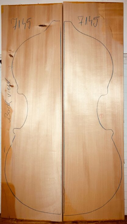 Double bass Spruce Top No. 7145,  A Grade - Image 3