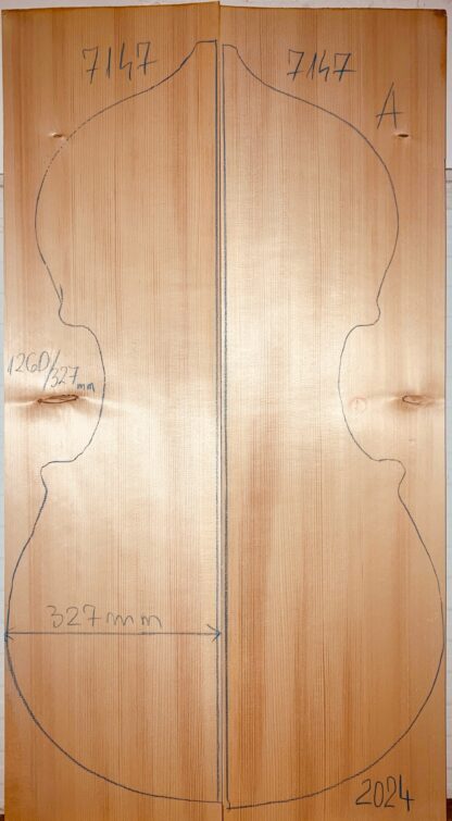 Double bass No.7147 Top