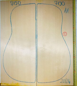 Guitar archtop No.7150 Top