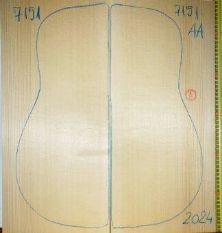 Guitar archtop No.7151 Top
