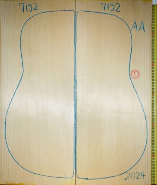 Guitar archtop No.7152 Top