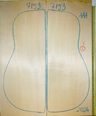 Guitar archtop No.7153 Top