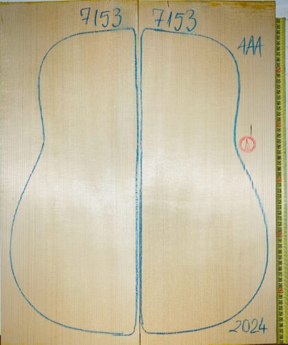 Guitar archtop No.7153 Top