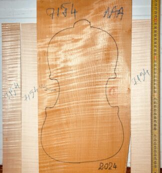 Violin No.7154 One piece Back and Sides