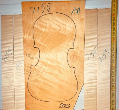 Violin No.7155 One piece Back and Sides