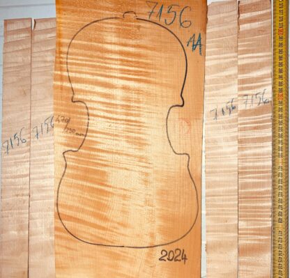 Violin No.7156 One piece Back and Sides