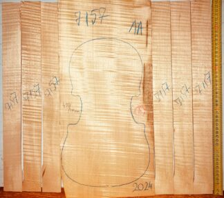 Violin No.7157 One piece Back and Sides