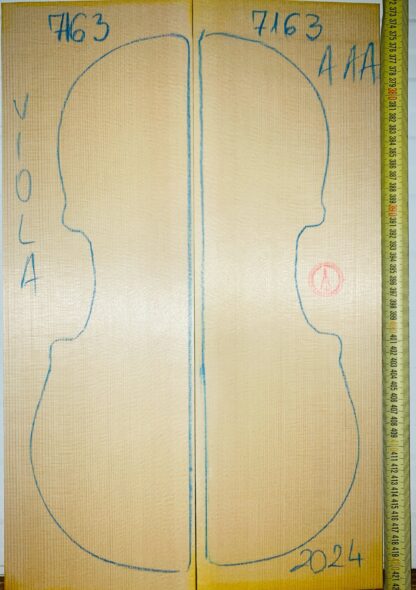 Viola No.7163 Top