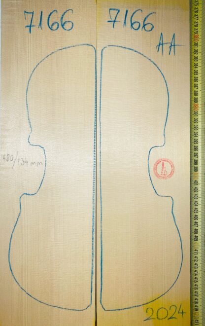 Violin No.7166 Top