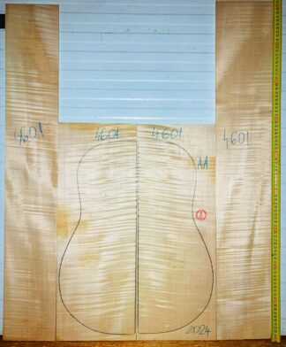 Guitar western No.4601 Back and Sides