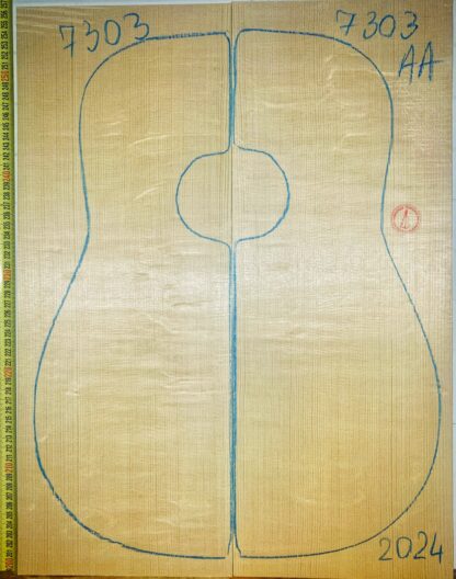 Guitar western No.7303 Top