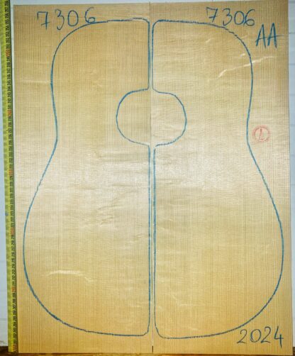 Guitar western No.7306 Top