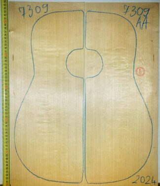 Guitar western No.7309 Top