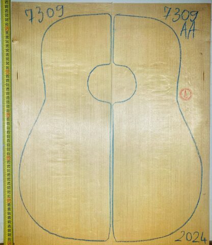 Guitar western No.7309 Top