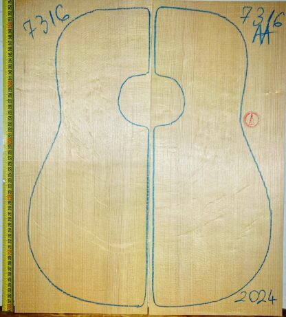 Guitar western No.7316 Top