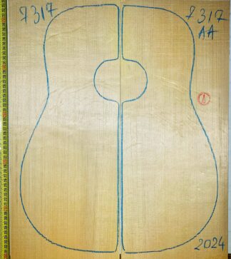 Guitar western No.7317 Top