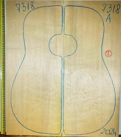 Guitar western No.7318 Top