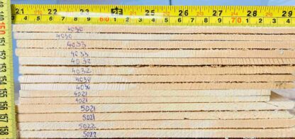 cut from Spruce