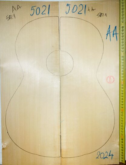 Guitar Classical No.5021 Top