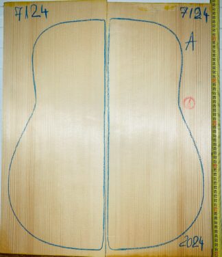 Guitar archtop No.7124 Top
