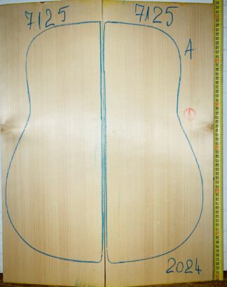 Guitar archtop No.7125 Top