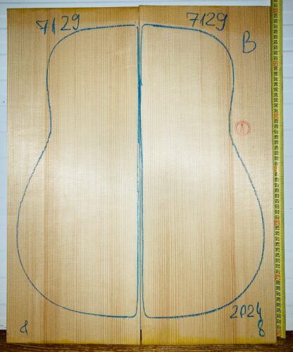 cut from Spruce