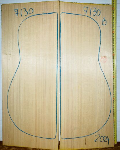 Guitar archtop No.7130 Top
