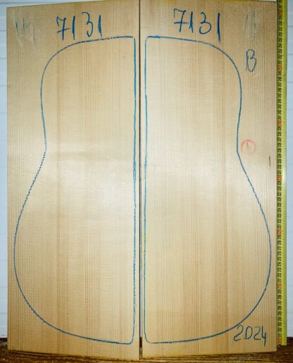 Guitar archtop No.7131 Top